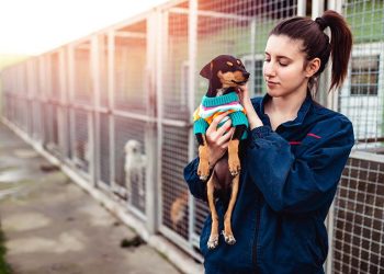 Houston Animal Shelters & Rescues for Pet Adoption