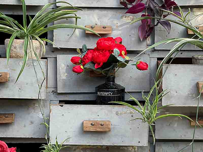 Plants on wall in a vertical garden