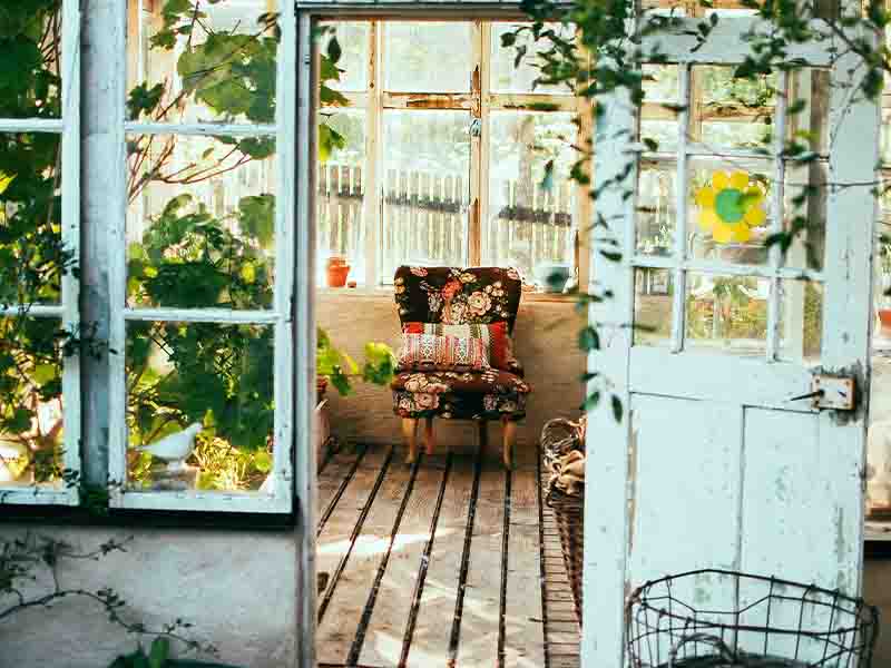 Blue shed with plants and furniture