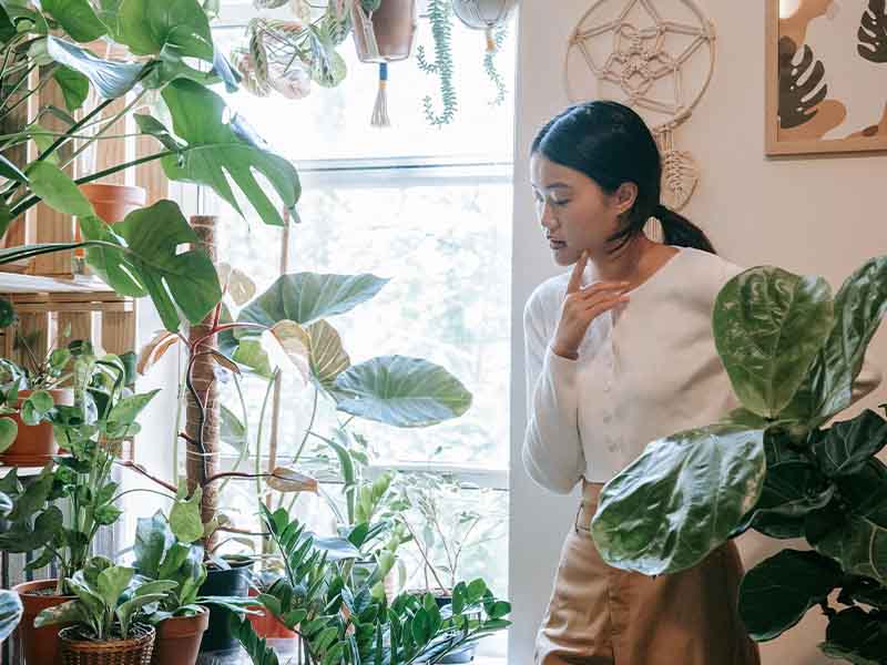 Woman shopping for plants