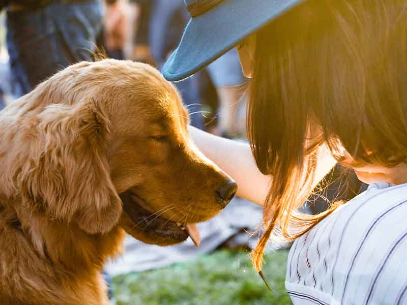 Woman and golden retriever 