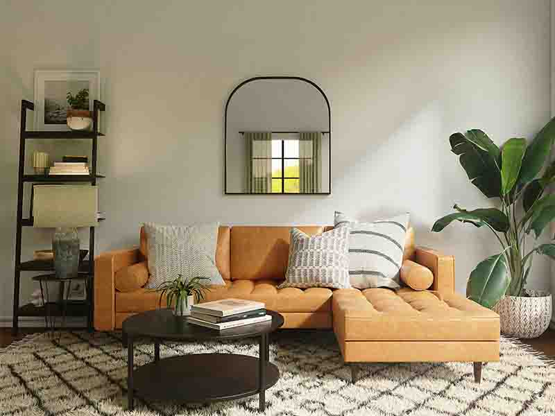 Modern living room with brown couch and black and white rug