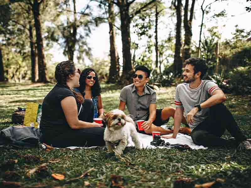 Group of friends