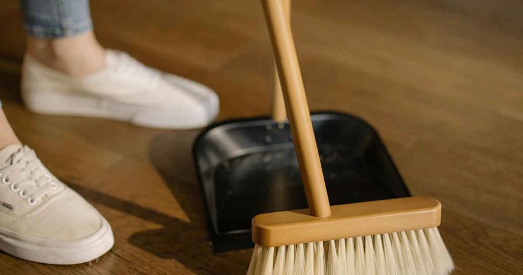 Broom and dust pan