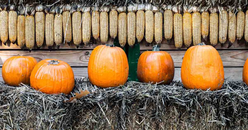 Pumpkins