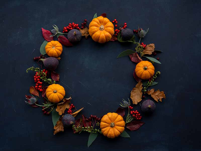 Pumpkin and Fig fall wreath