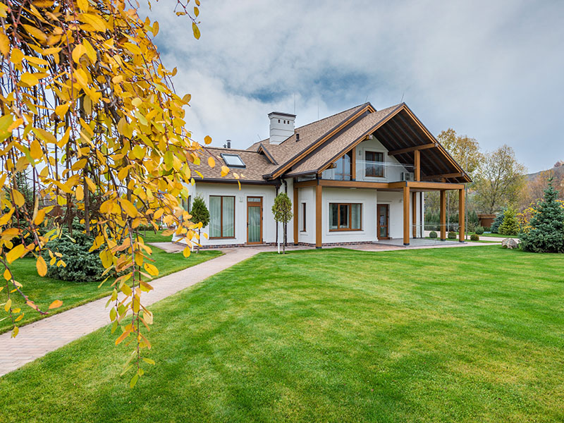 Cottage with a big green yard