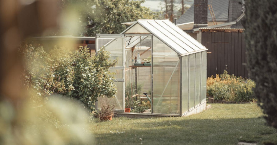 A small greenhouse in a backyard with its door open and plants sitting on the floor and a shelf.