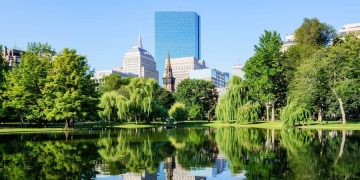 View of the Boston skyline rising above Boston Common, with lush green trees reflected in a calm pond on a sunny day.