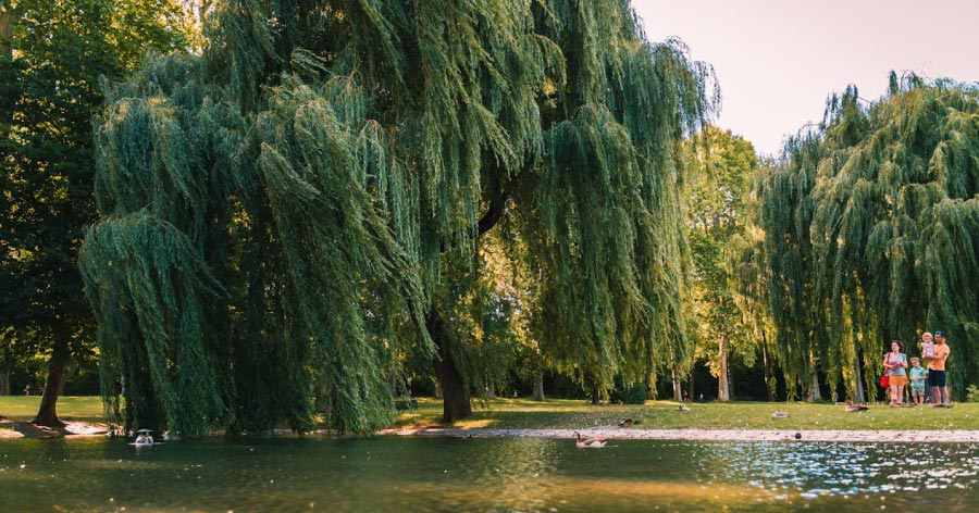 A family of four enjoys a breezy day in nature at the Boston Public Garden near Back Bay, a wealthy neighborhood in Boston.